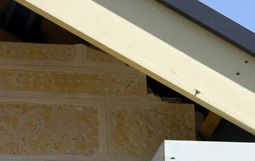 soffit repair Cockington