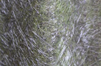 Cockington fibreglass roof work